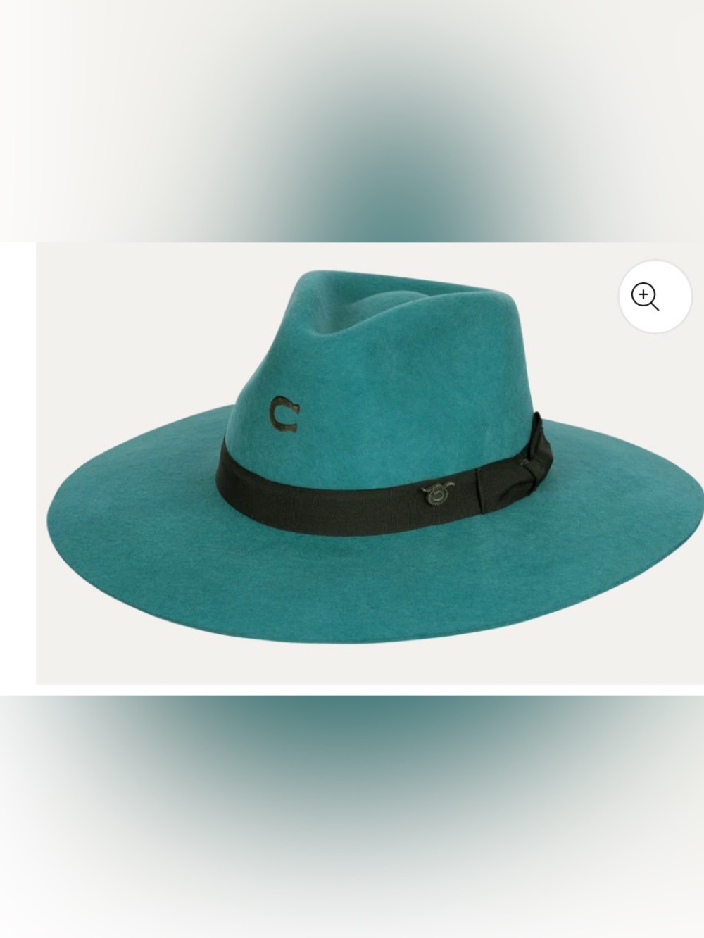 Charlie 1 Horse Highway Hat in Teal